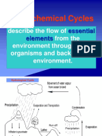 Biogeochemical Cycles: Essential Elements