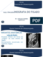 Ultrassonografia Do Figado - Patologias