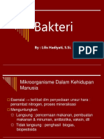 Bakteri