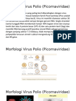 Virus Polio (Picornaviridae)