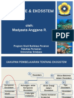 Ekosistem Dan Aliran Energi