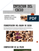 Cacao Fermentacion
