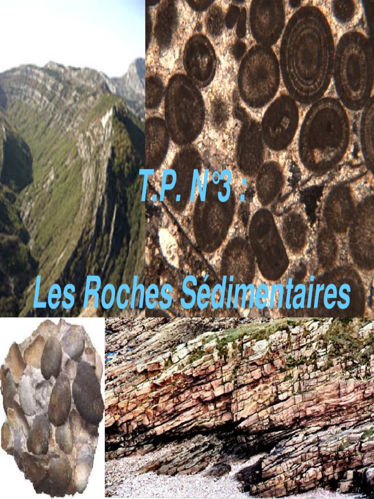 Les Roches Sédimentaires : Types et Exemples | PDF | Granit | Roche