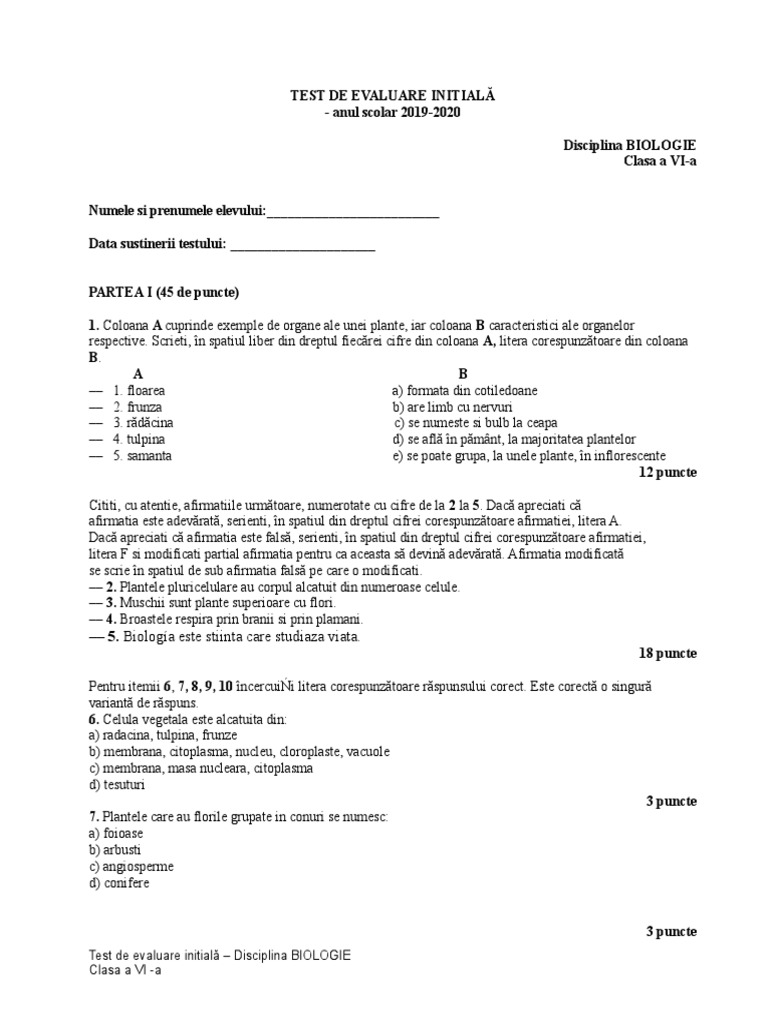 7 Test Initial 6 | PDF