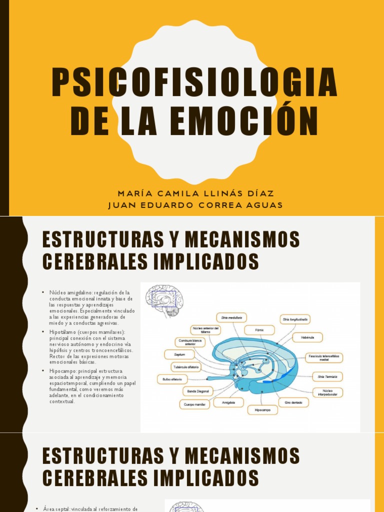 Psicofisiologia de La Emoción | PDF | Las emociones | Cerebro
