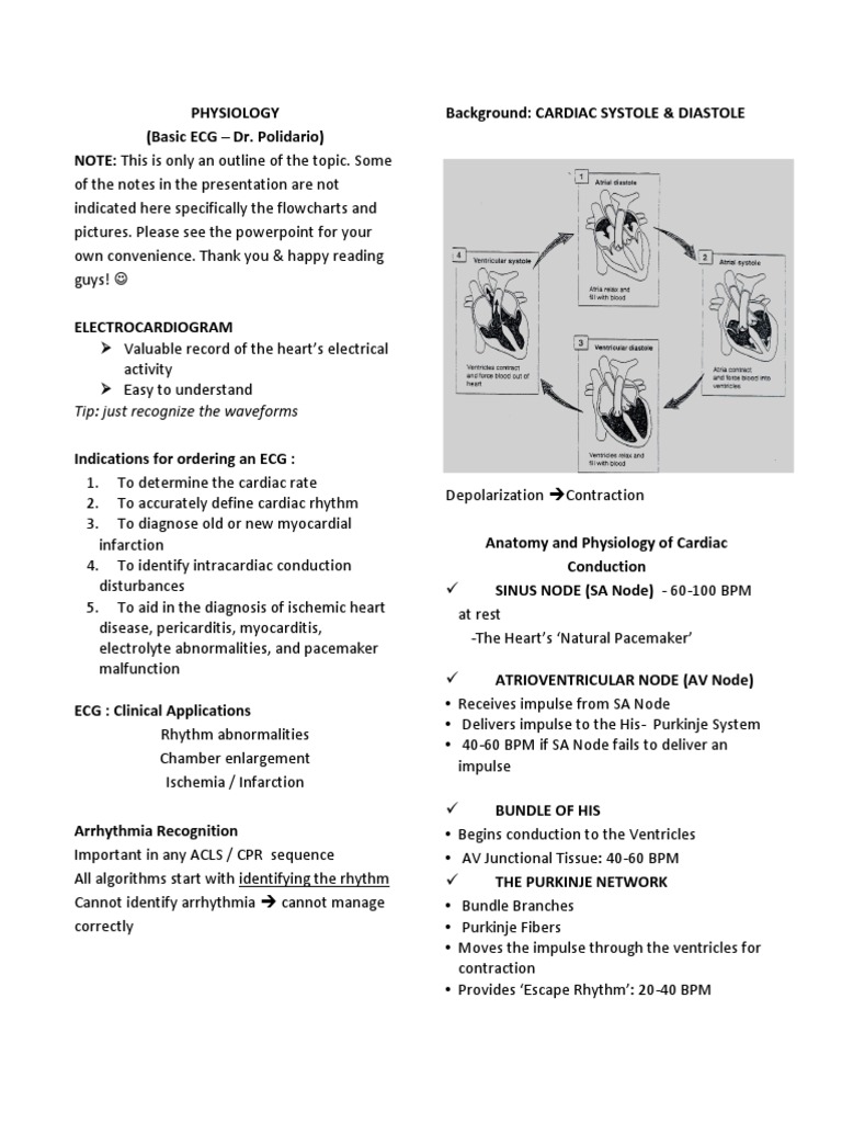 Cardiology Basics Pdf _ Cardiology Online Textbook – XFEFY