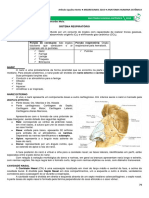 07 -Sistema Respiratório.pdf