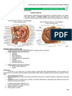 10 - Sistema Genital.pdf