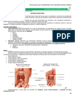 08 - Sistema Digestório.pdf