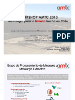 AMTC-Procesamiento-de-Minerales-y-Metalurgia-Extractiva-.pdf