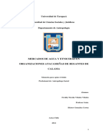 Mercados de Agua y Etnicidad en Organiza PDF