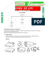 Origen de Los Alimentos para Primero de Primaria