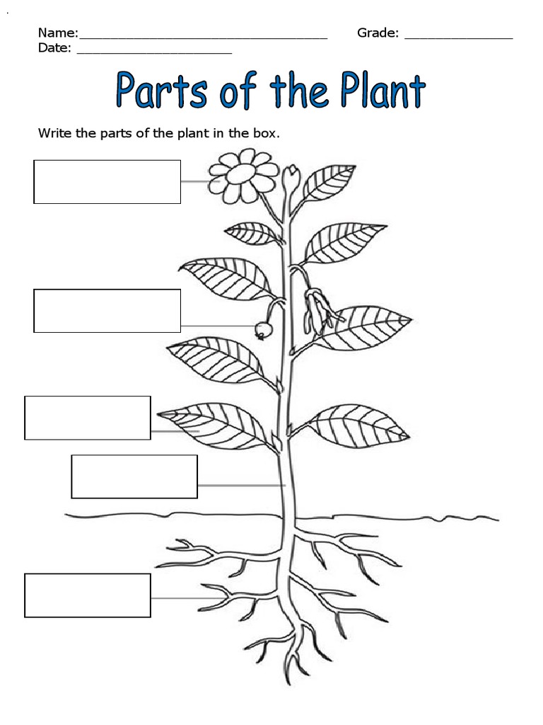 Part of The Plant PDF