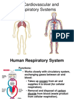 Cardiovascular and Respiratory