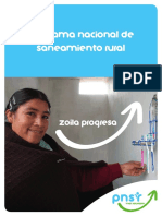 PNSR Folleto PDF