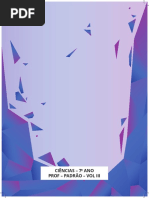 AP 7a Cie Padrao Bim3 Prof 22 Pgs