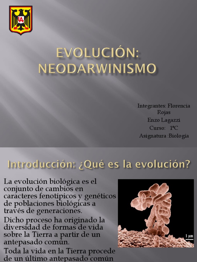 Neodarwinismo: Teoría de la Evolución | PDF | Seleccion natural | Evolución