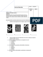 Microorganismos y salud