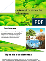 ecosistemas estratégicos en Colombia 