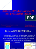 8enfermedades Causadas Por Basidiomicotas_oscar Cabezas2017