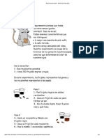 Experimento ADN - BrainPOP Español