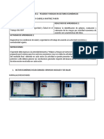 Formato Peligros Riesgos Sec Economicos