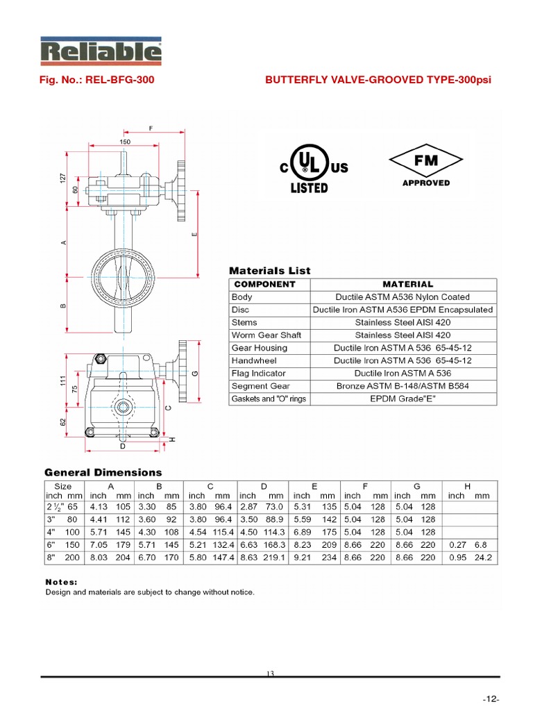 12 RelBfg300 PDF