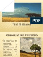 TIpos de Sabanas Sandra Materia de Biologia