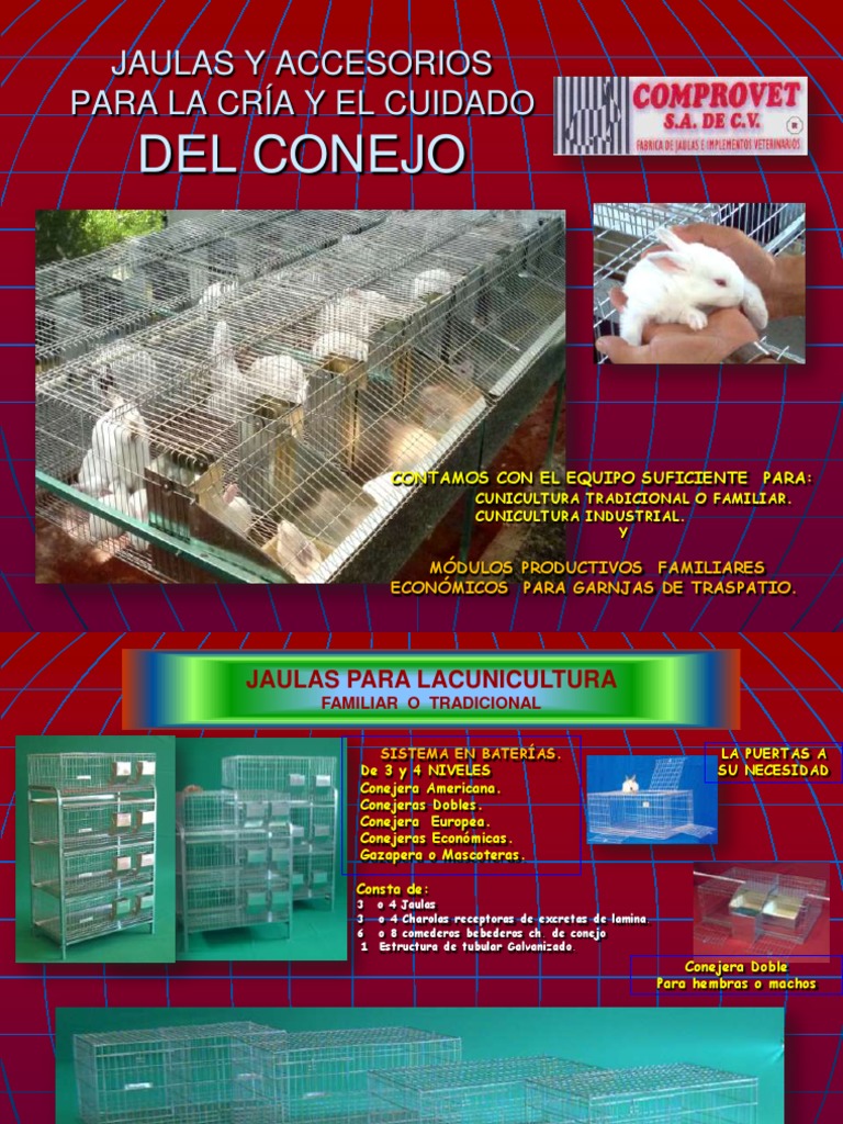 Conejera de Madera con Malla: Capacidad para 1-2 Conejos