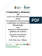 Aislamiento de Pyricularia PDF