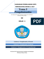 RPP Pjok Kelas 2 Tema 5 k13 Revisi 2017