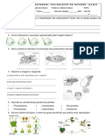 Avaliação de Ciências sobre Protozoários e Plantas