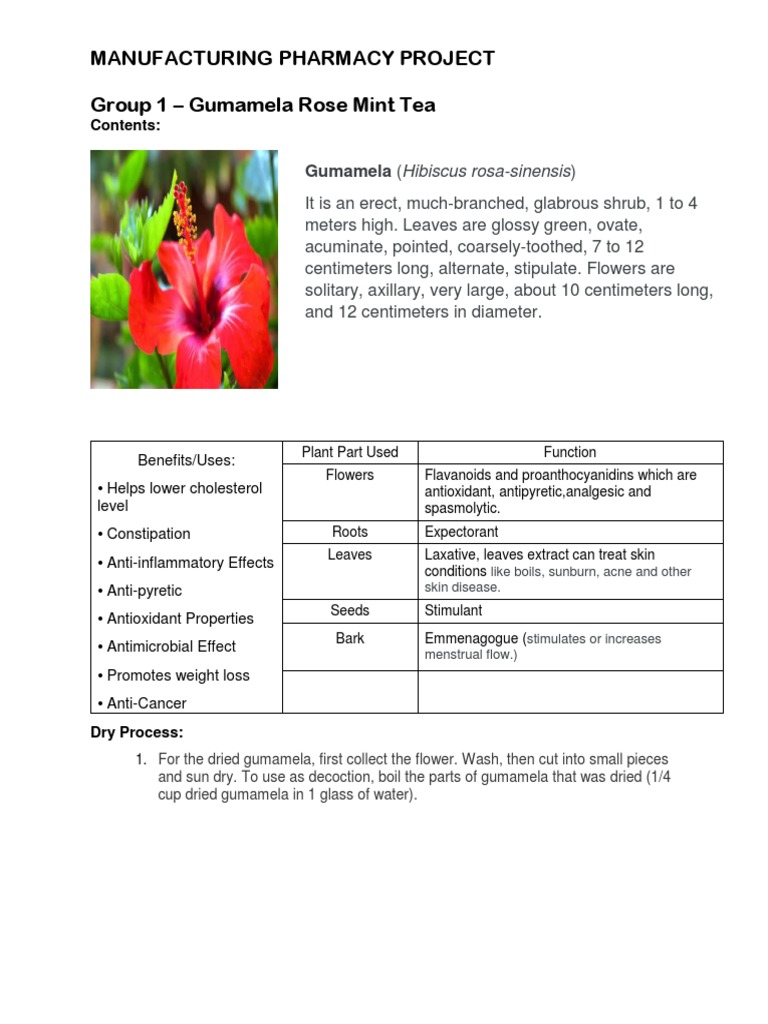 Tea Write Up Manuf Final | PDF | Rose | Leaf