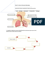 Guia de 5° Año Ciencias Naturales