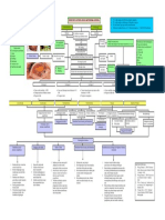 Woc Retinoblastoma PDF