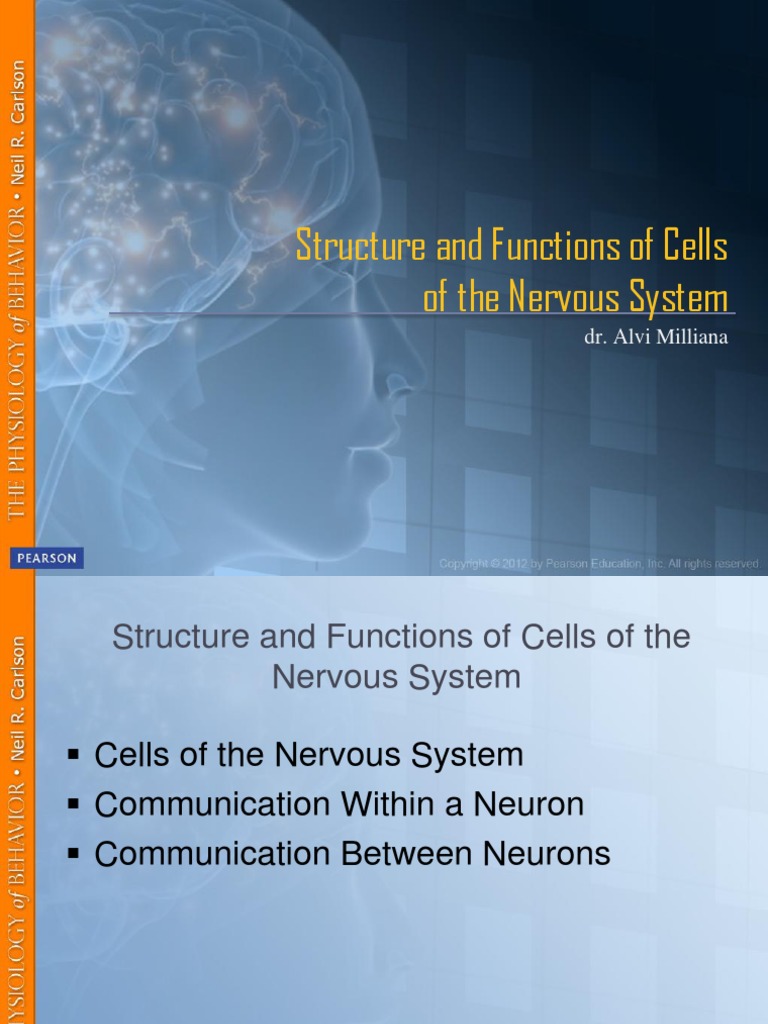 Nervous System Cell Structure & Functions | PDF | Neuron | Action Potential