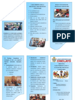 Triptico Del Psicologo Comunitario