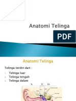 Anatomi telinga.pptx