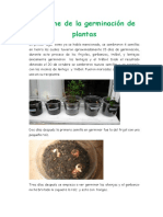 Informe de la germinación de planta2