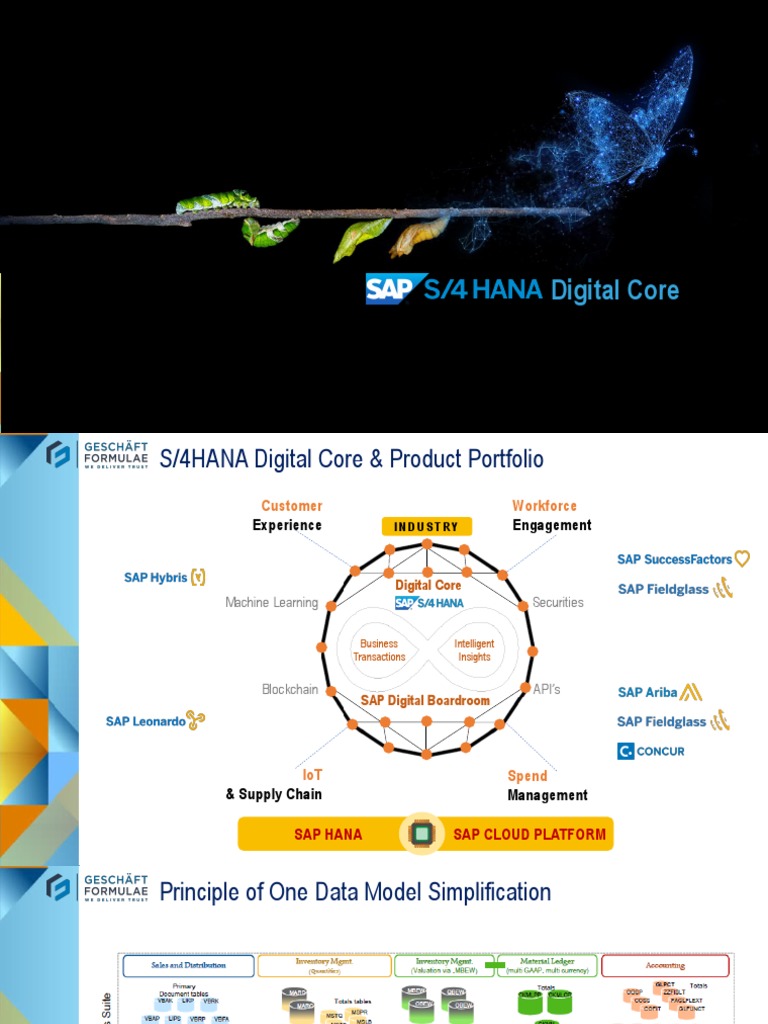 S/4HANA Migration Strategy Overview | PDF | Sap Se | Cloud Computing