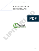 0 - Lipitori - Ro - Suport de Curs PDF