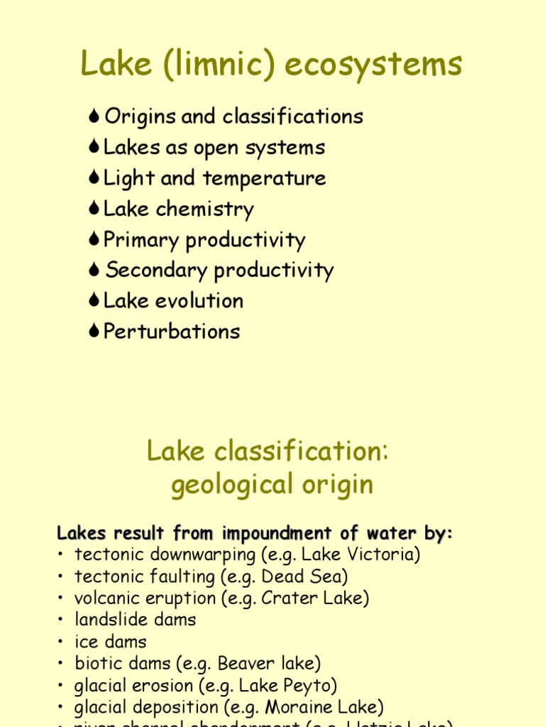 11 - Lakes & Rivers | PDF | Lake | Aquatic Ecology