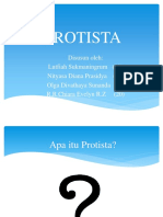 Protista