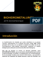 BIOHIDROMETALURGÍA