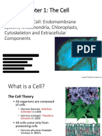 Lesson 1 The Cell