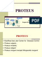 Proteus & Yersinia