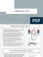 Embriologi Jantung dalam
