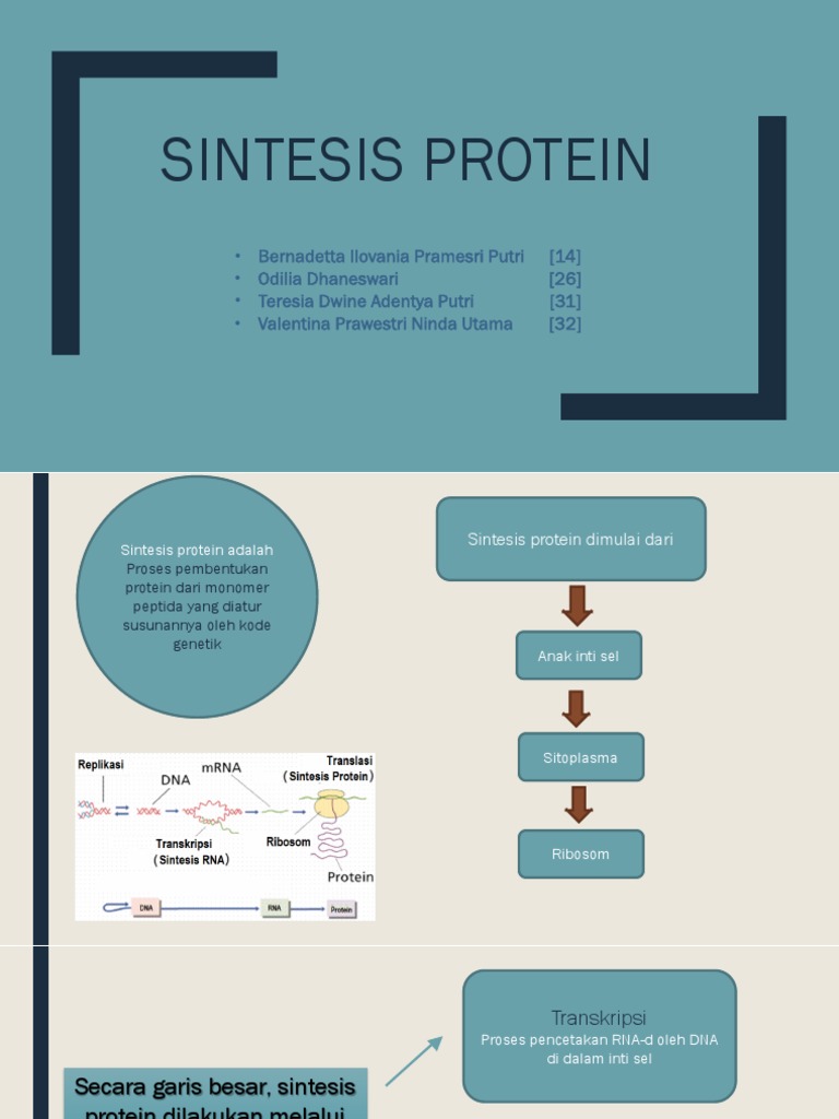 Sintesis Protein | PDF