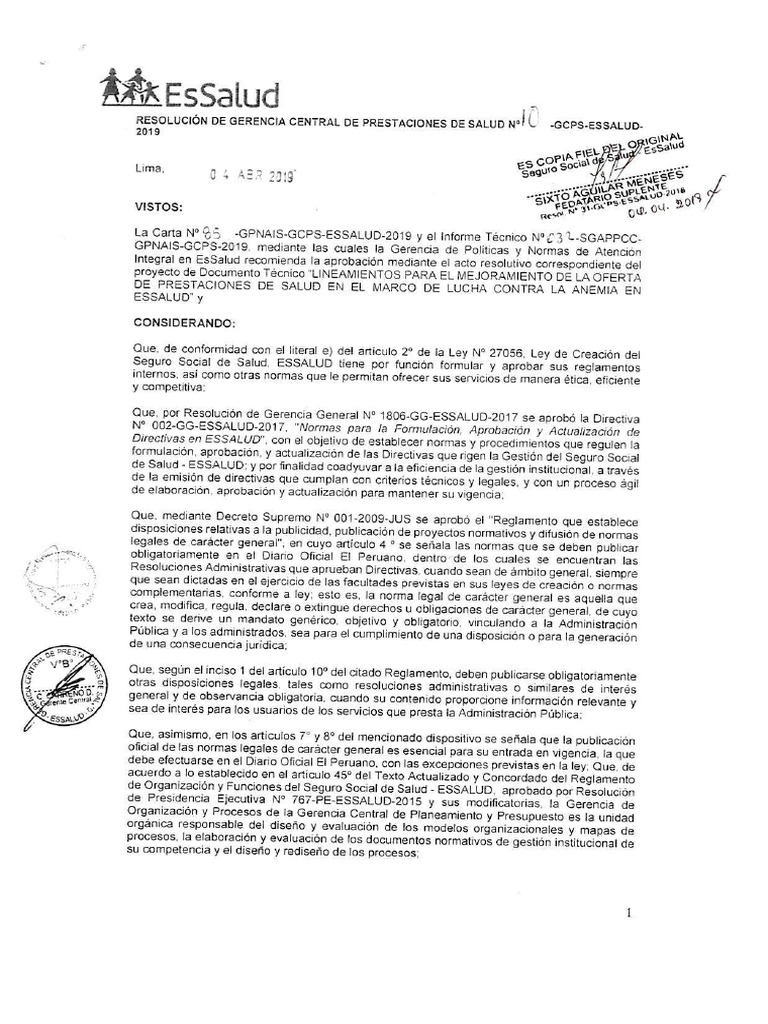 9.3 - Lineamiento de La Lucha Contra La Anemia Essalud | PDF