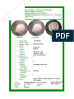 Pyrgo PDF
